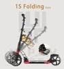 DeeMax 230 Kick Scooter 2017 version with Hand brake (Design in Korea)